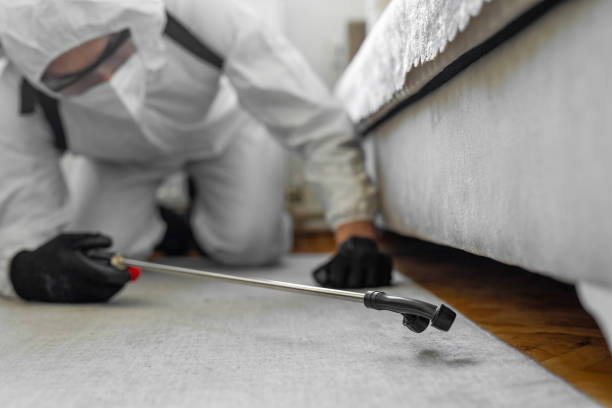 Professional Ant Control technician working in Lake Park, NC