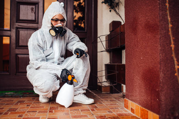 Reliable Ant Control contractor in Lake Park, NC by Show Me Pest Control